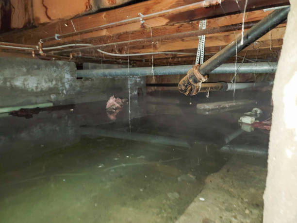 Best Residential water damage restoration  in Cloverdale, VA
