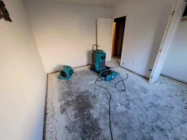 Best Emergency water damage restoration  in Cloverdale, VA