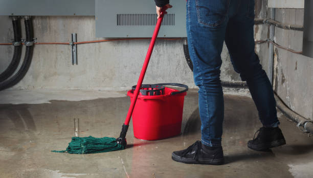 Professional Water damage restoration in Cloverdale, VA
