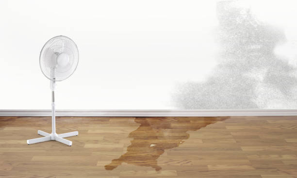 Best 24-hour water damage restoration  in Cloverdale, VA