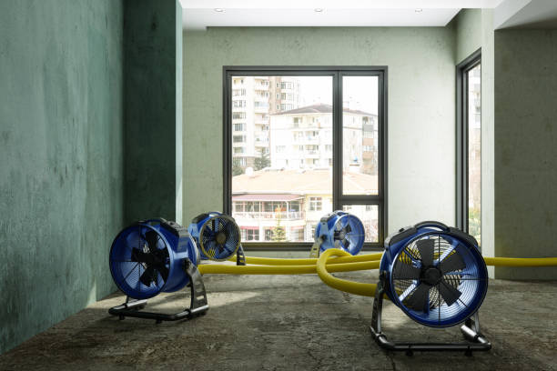 Best Water damage cleanup near me  in Cloverdale, VA